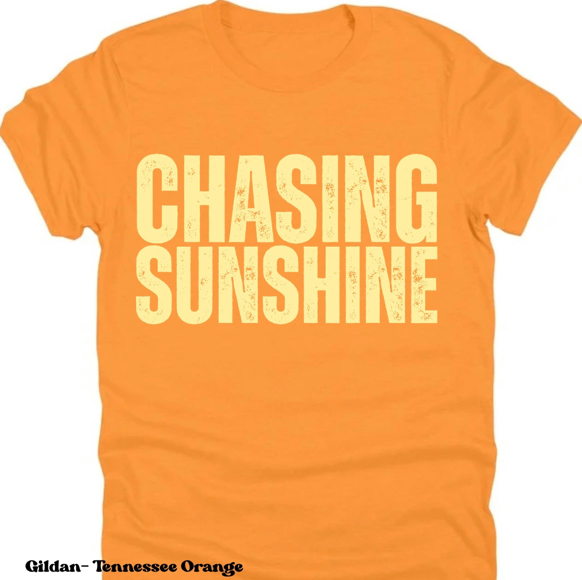 CHASING SUNSHINE