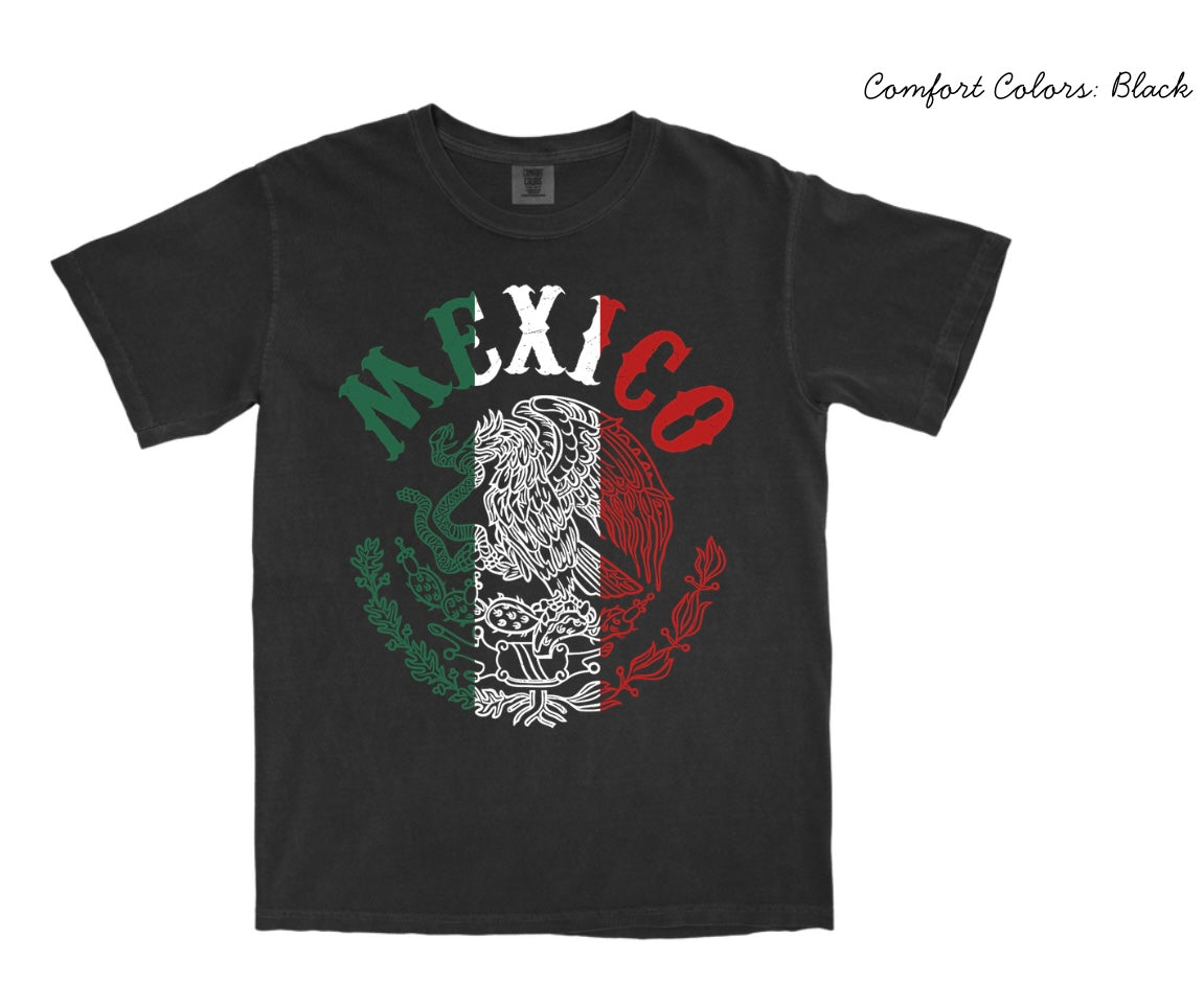Mexico Flag Distressed